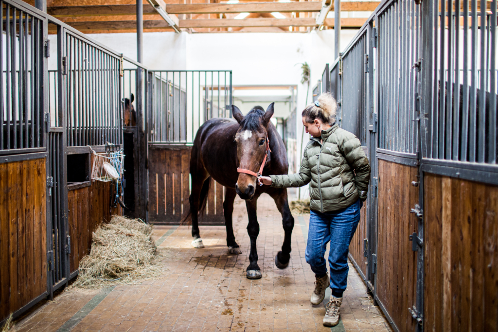 «Це про “я можу”. Попри поранення та травми — я можу це!»: Як психологиня розвиває напрям іпотерапії в Україні
