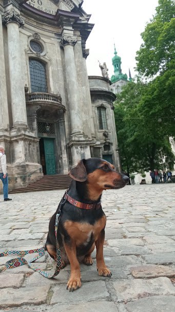 «Вік і війна — не перепона для навчання»: Як три українки після 50 років опанували професії в IT та креативних індустріях