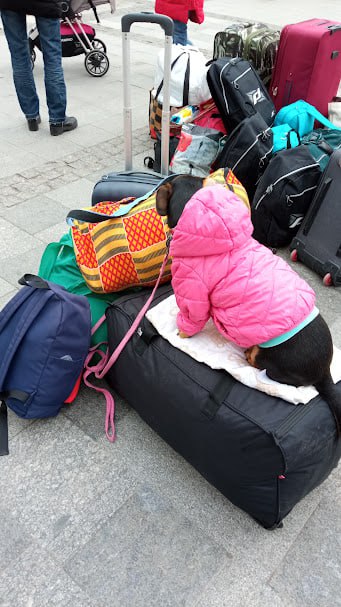 «Вік і війна — не перепона для навчання»: Як три українки після 50 років опанували професії в IT та креативних індустріях