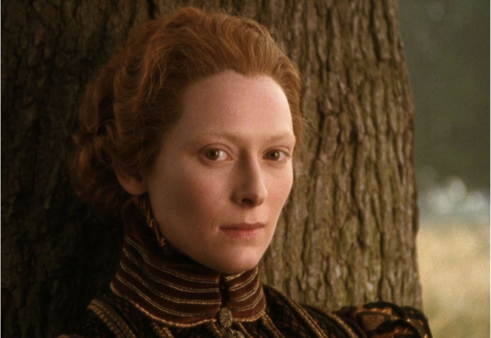 В український прокат вийшла історична костюмована драма «Орландо» з Тільдою Свінтон