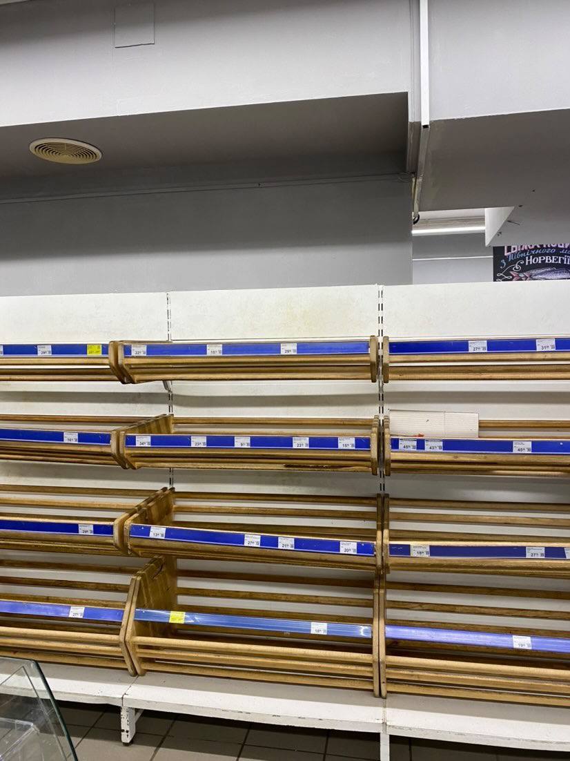 «Почуваюся рослинкою, яку висмикнули з рідного ґрунту й пересадили в чужий». Історія Поліни Кучинської, української біженки в Польщі