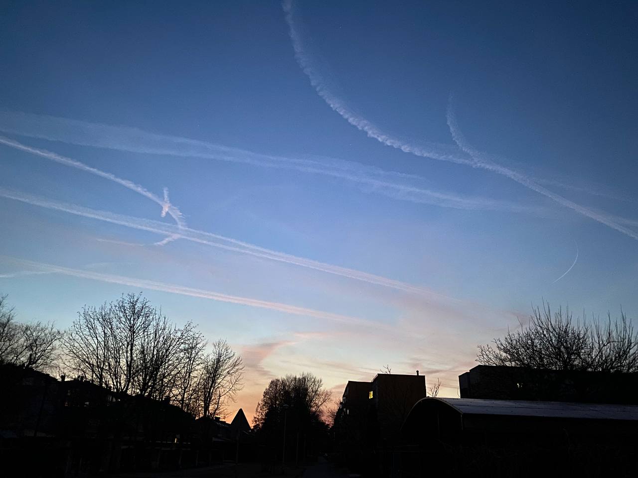 «Почуваюся рослинкою, яку висмикнули з рідного ґрунту й пересадили в чужий». Історія Поліни Кучинської, української біженки в Польщі