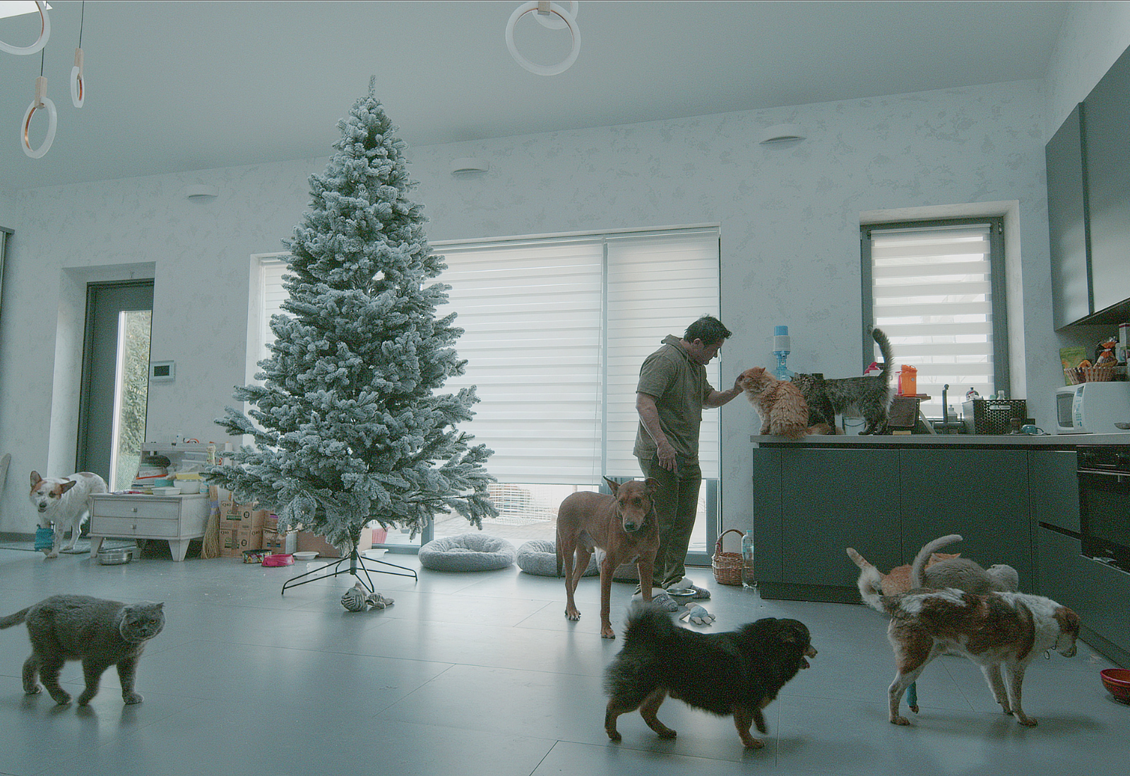 Вийшов онлайн документальний фільм «Все має жити» про зоозахисницю Анну Куркуріну