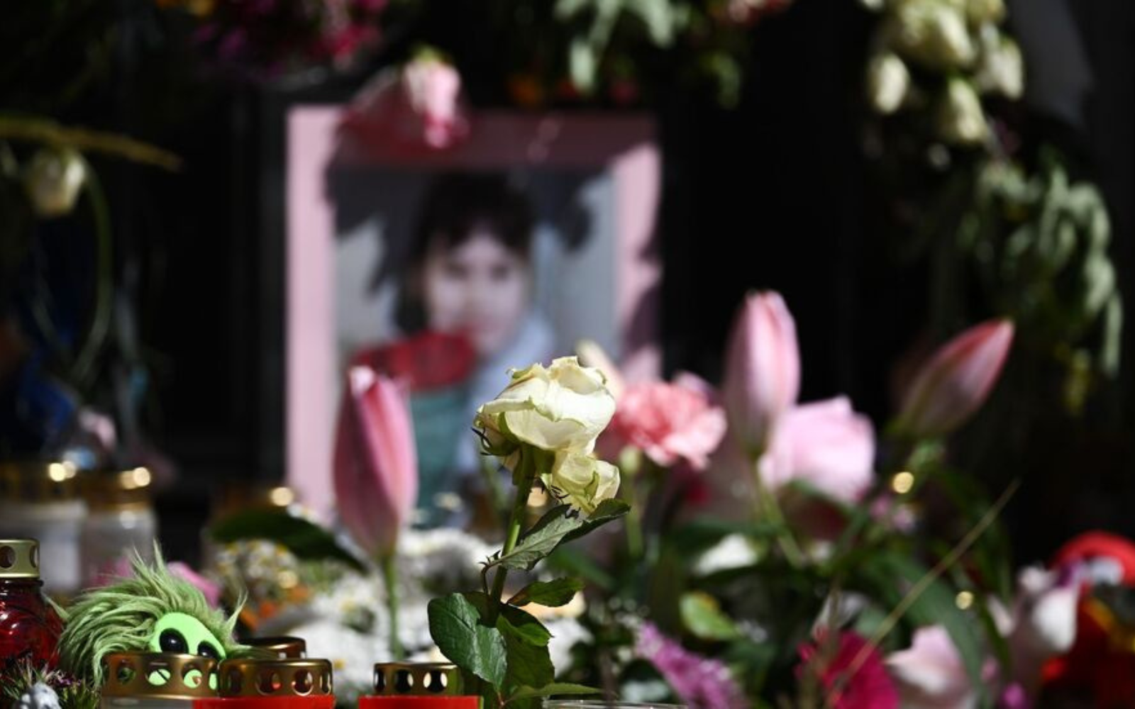 У Німеччині обвинуваченого за вбивство дев’ятирічної українки засудили до довічного ув’язнення