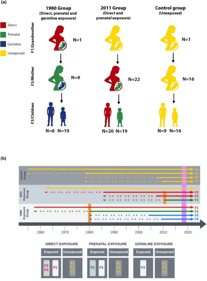 Травматичний досвід жінок під час війни може прискорити старіння майбутніх поколінь — дослідження