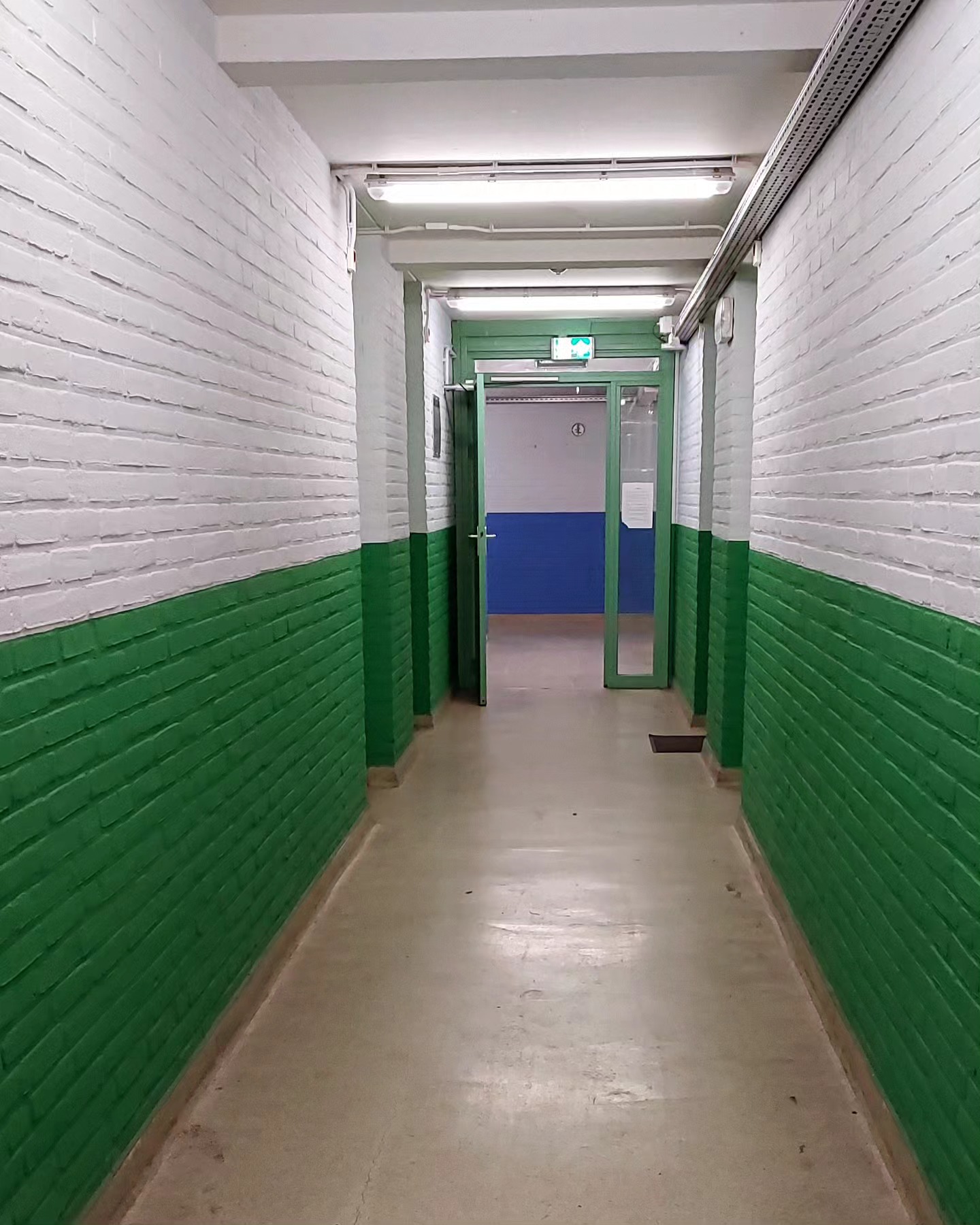 Ярчик в кімнаті у притулку