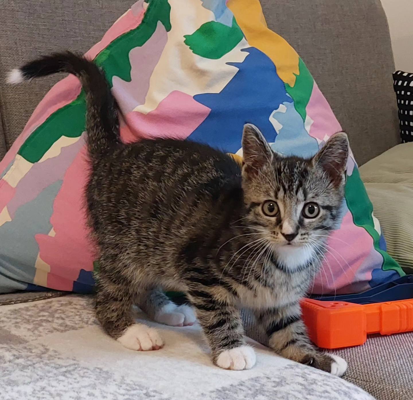 «Дім — це місце, в яке хочеться повертатися звідусюди». Історія Ірини Троскот, української біженки в Нідерландах