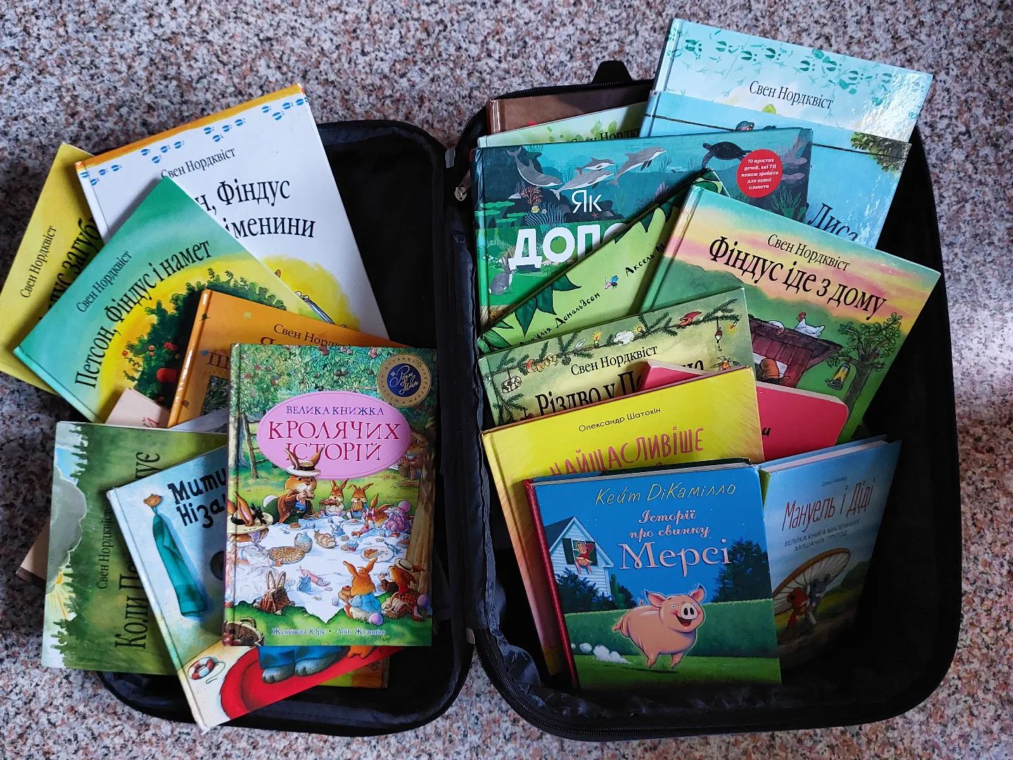 «Дім — це місце, в яке хочеться повертатися звідусюди». Історія Ірини Троскот, української біженки в Нідерландах