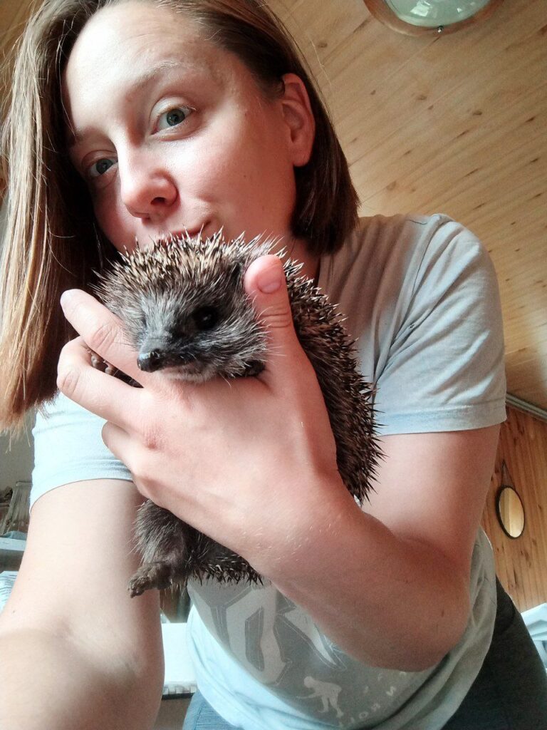 Реабілітація колючих сердець. Як київська зооволонтерка рятує їжаків