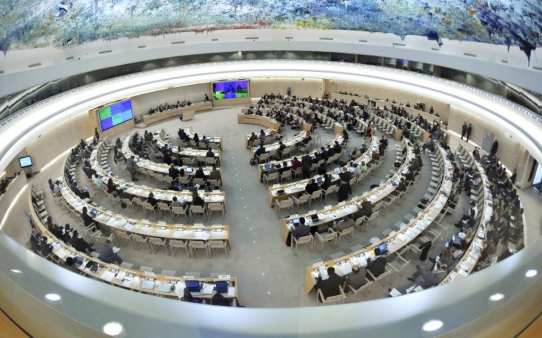 В ООН оголосили про згортання програм в низці країн через скорочення фінансування США — серед них Україна