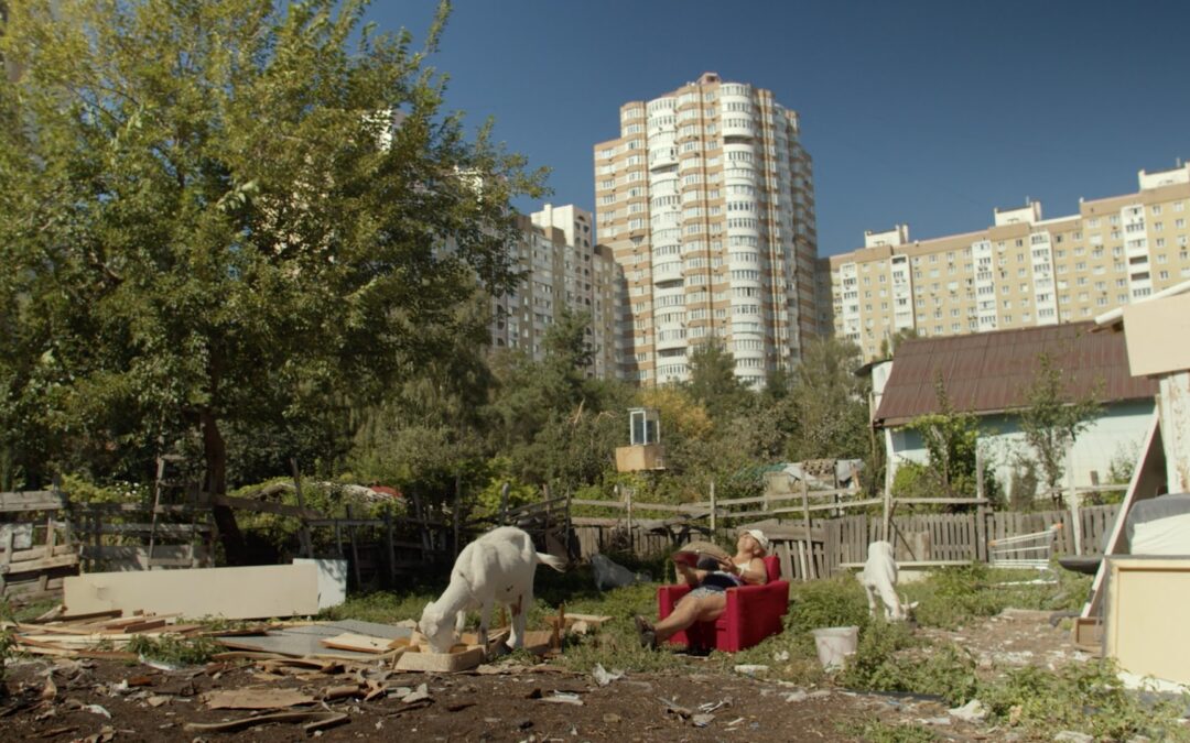 «Квіти України»: В український прокат виходить документальний фільм про киянку, яка захищає свою землю від забудовників