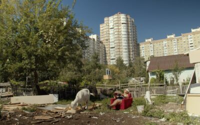 «Квіти України»: В український прокат виходить документальний фільм про киянку, яка захищає свою землю від забудовників