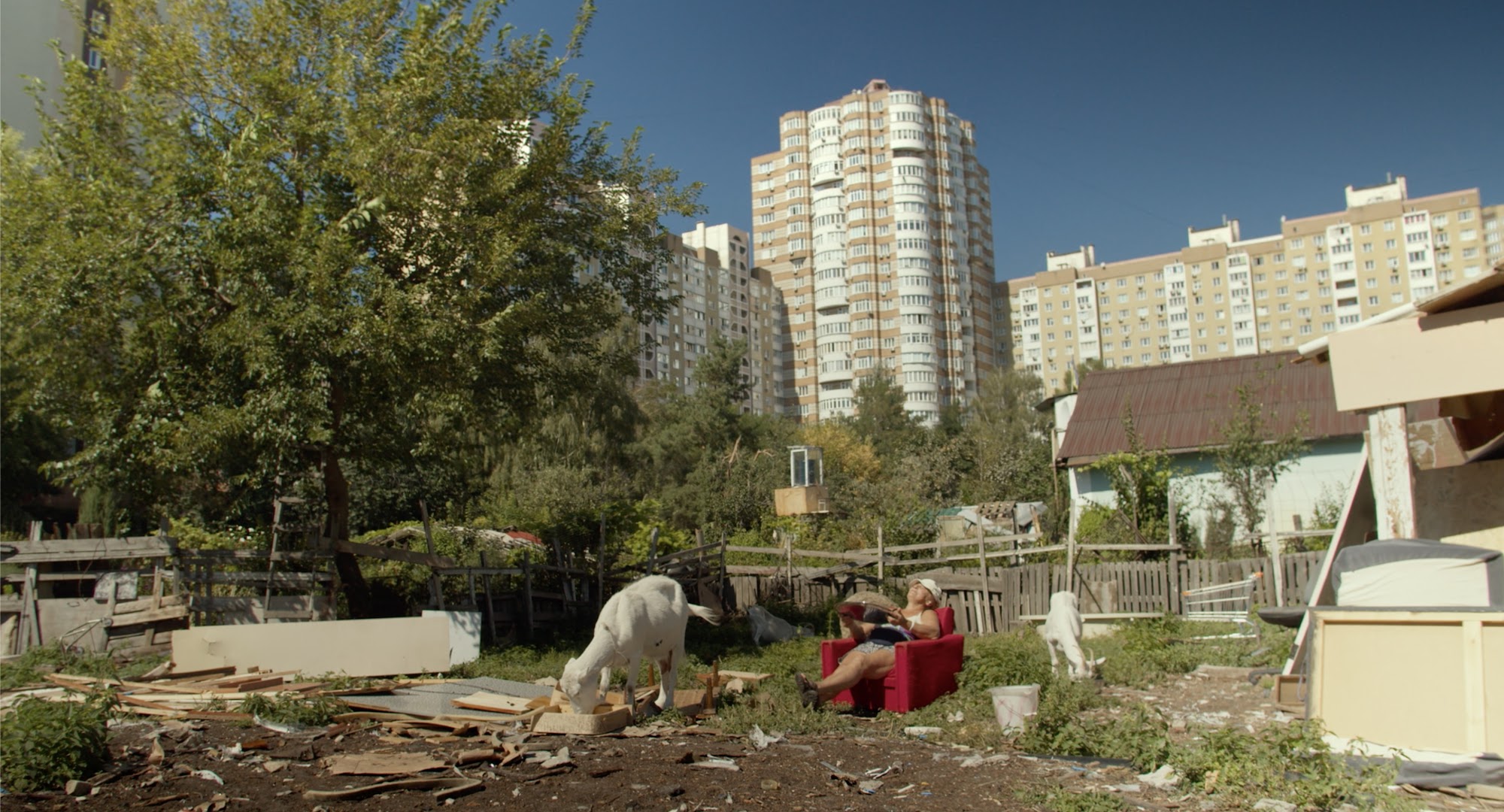 «Квіти України»: В український прокат виходить документальний фільм про киянку, яка захищає свою землю від забудовників