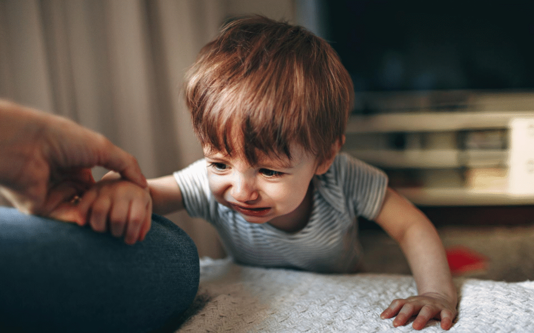 Еліна Світоліна, Шарлотта Генсбур, Олександра Матвійчук та інші діячі записали відеозвернення щодо повернення викрадених росією українських дітей