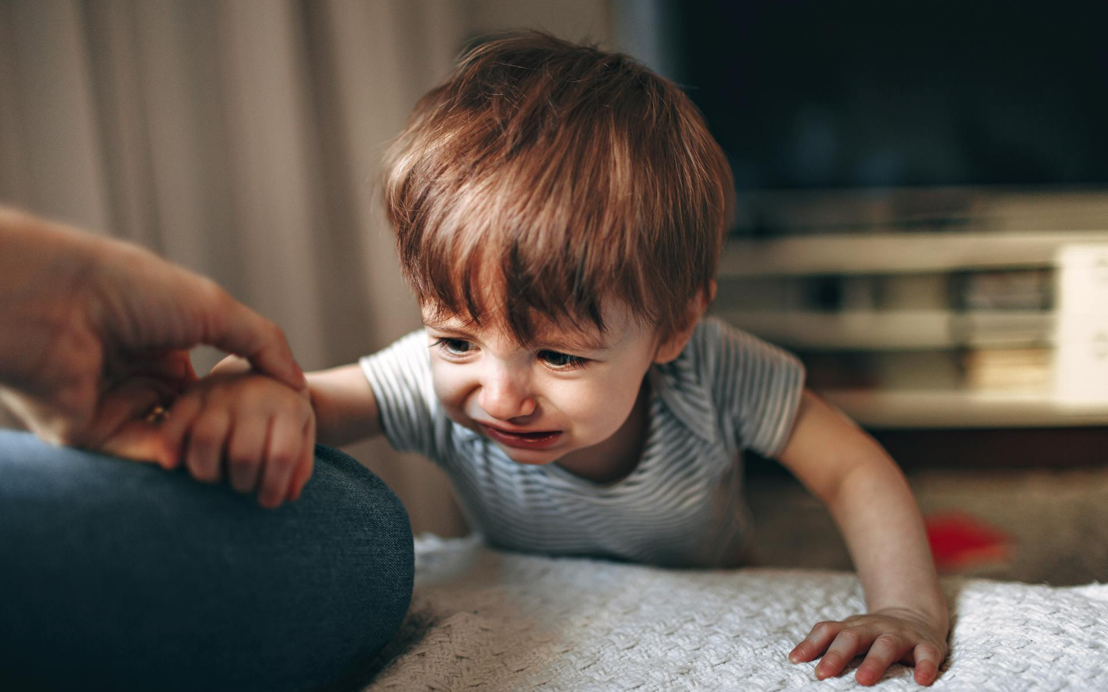 Еліна Світоліна, Шарлотта Генсбур, Олександра Матвійчук та інші діячі записали відеозвернення щодо повернення викрадених росією українських дітей