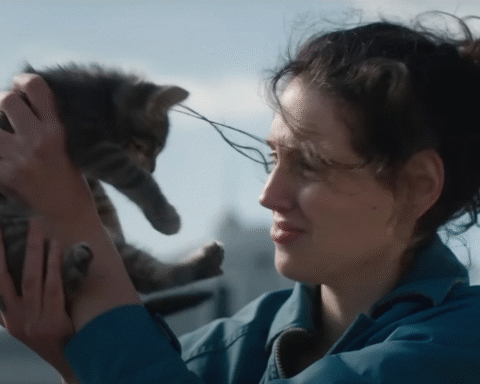 Як фільм Пробач, дівчинко говорить про пережитий студенткою харасмент