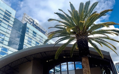 На студію Paramount Pictures подали до суду через приховування сексуального насильства керівництва над підлеглими 