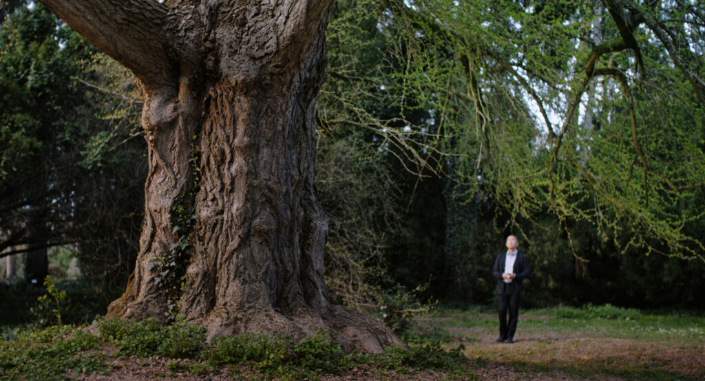 Мати Тереза, засновниця релігійного культу та бавовняна королева: жіноче кіно на Венеції-2025