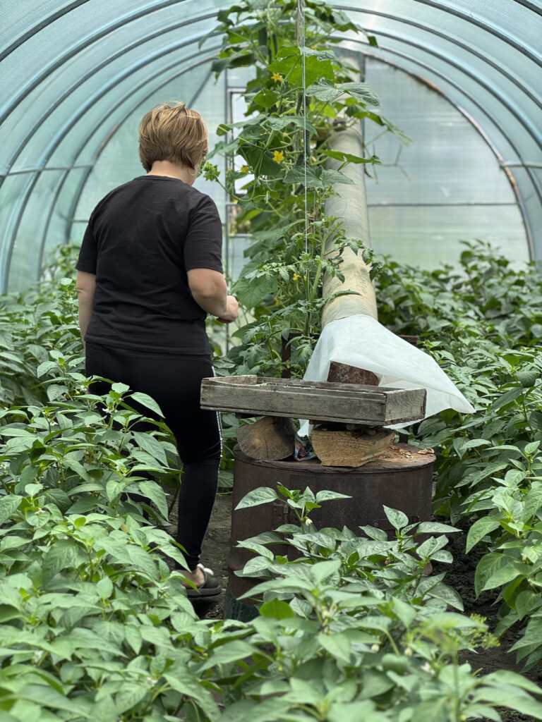 «Лавка деокупації». Як Мер’ям Йол та Наталі Артюшенко створили проєкт для підтримки мешканців прифронтових селищ