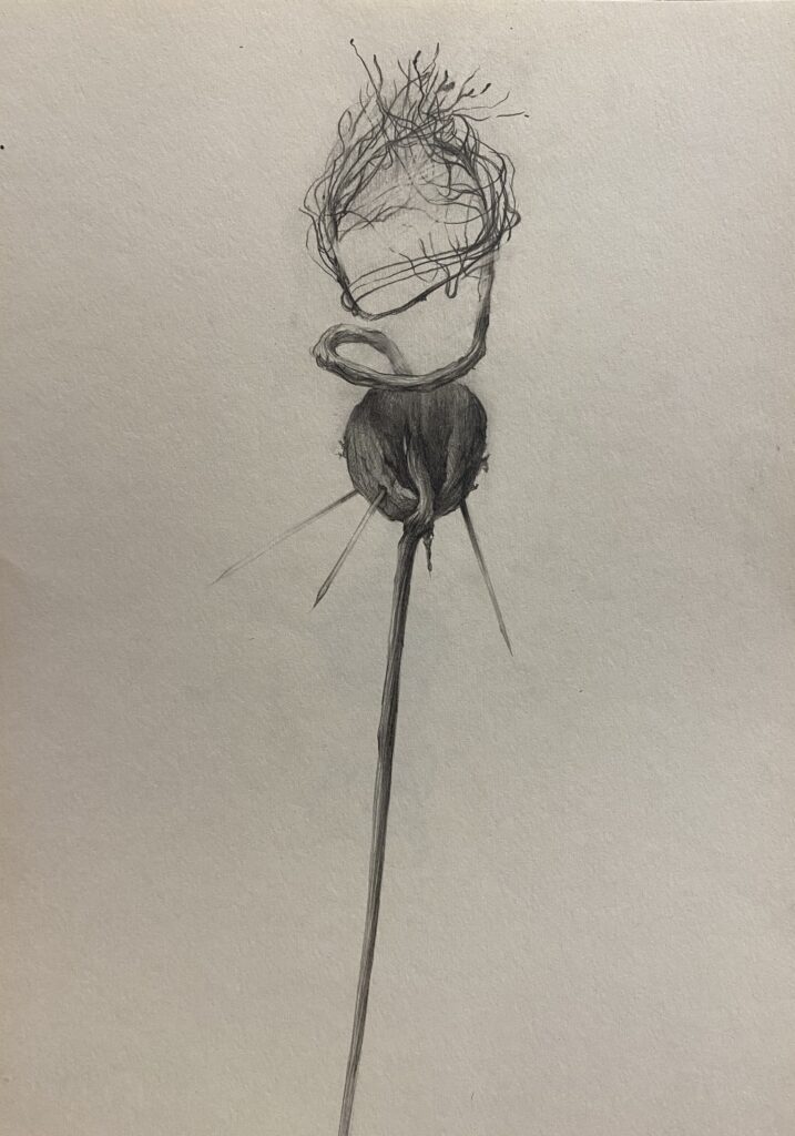 В Українському Домі проведуть феміністичну виставку «Віднайдене у втратах»