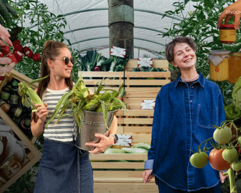 Як Мер’ям Йол та Наталі Артюшенко створили проєкт Лавка деокупації для підтримки мешканців прифронтових селищ