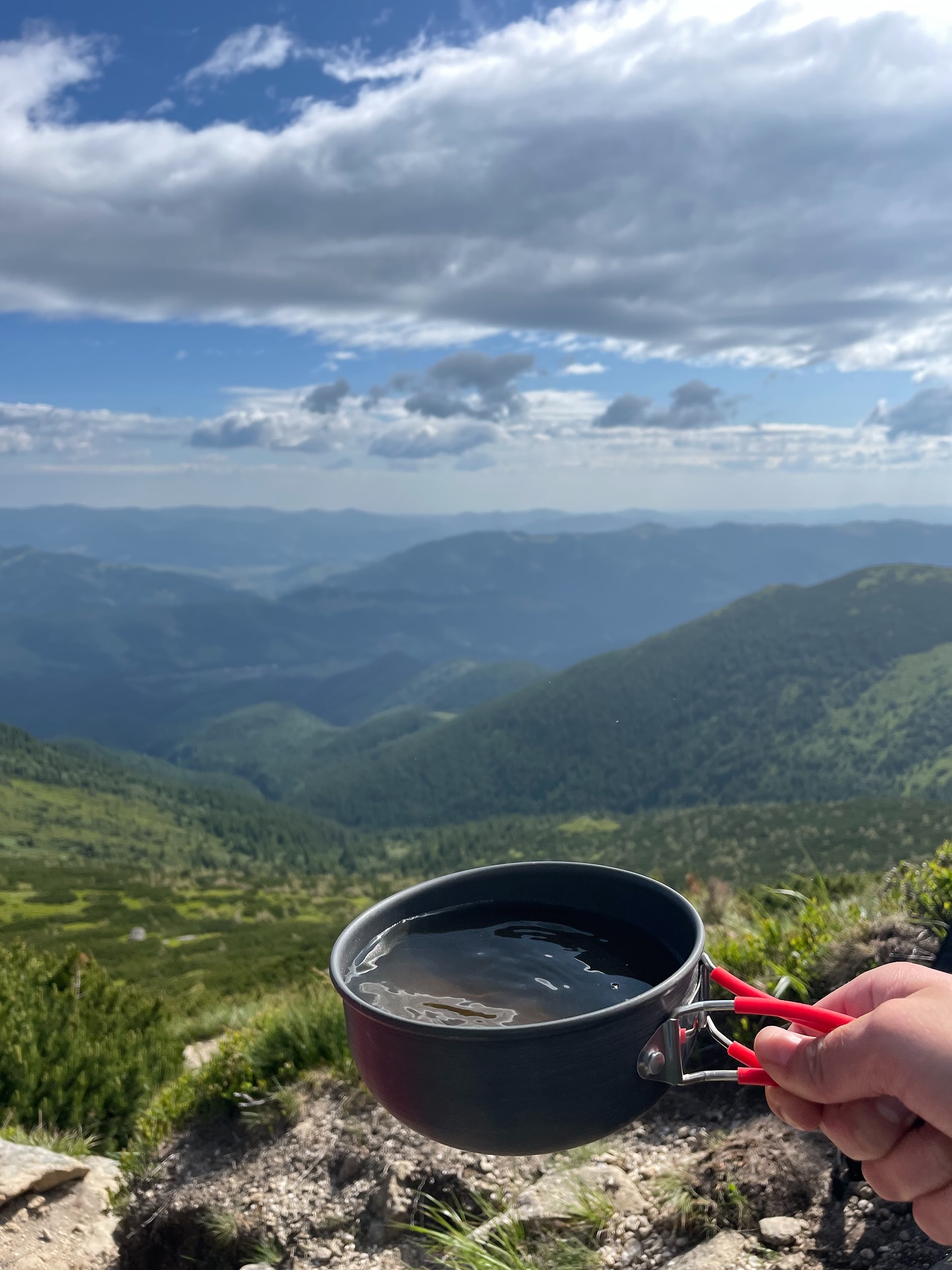 Карпатський «MIX чаю»: Як родинна справа стала брендом