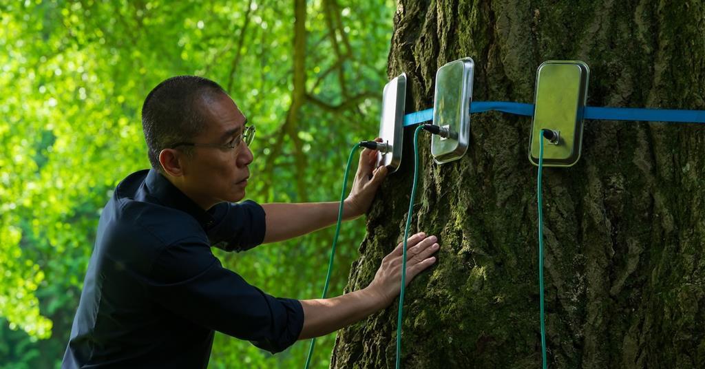 Фільм Безмовна подруга