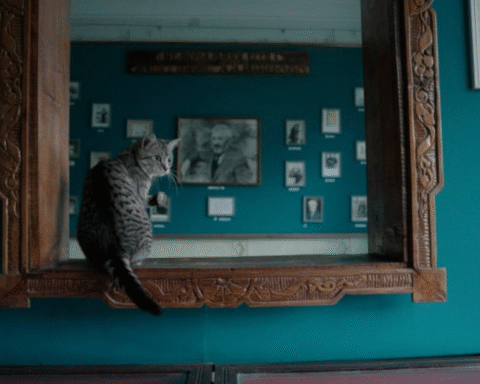 На кінофестивалі Молодість покажуть документальний фільм Надії Парфан на замовлення Суспільного Птахи і Звірі. Всесвіт Гніздовського