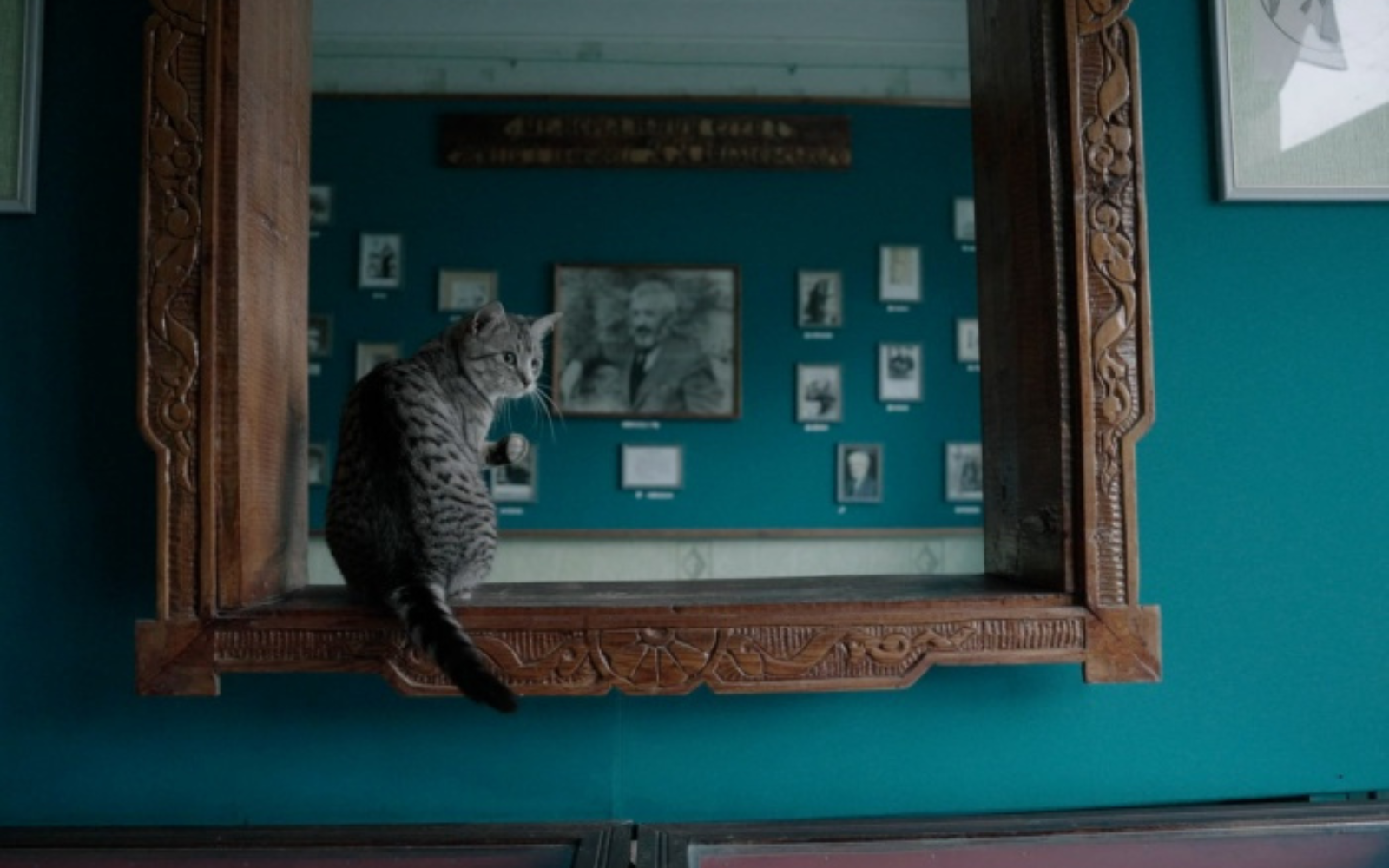 На кінофестивалі Молодість покажуть документальний фільм Надії Парфан на замовлення Суспільного Птахи і Звірі. Всесвіт Гніздовського