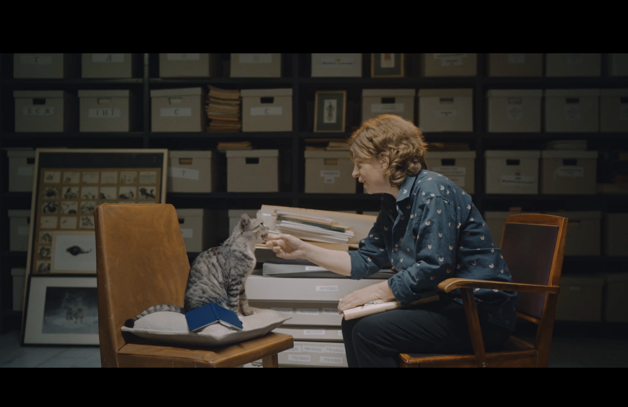 Одинадцять режисерок «Молодості»