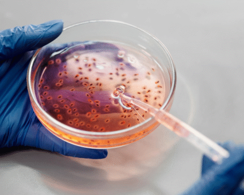 Американські вчені вперше створили ембріони з ДНК шкіри людини