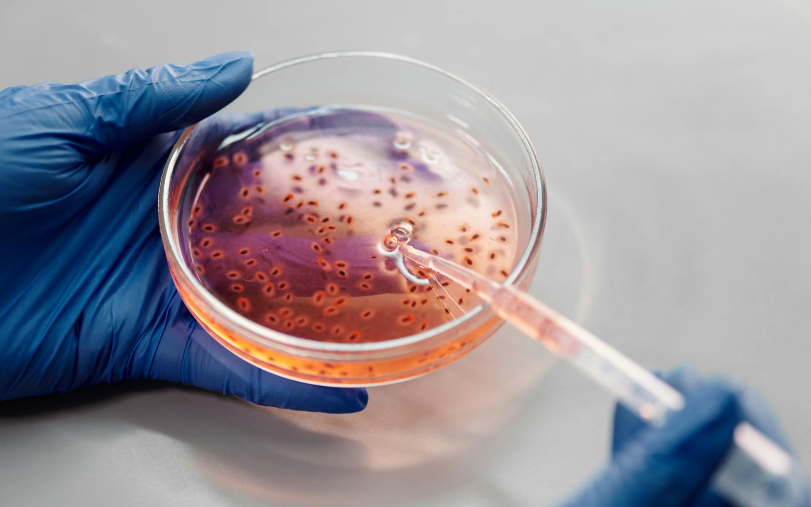 Американські вчені вперше створили ембріони з ДНК шкіри людини