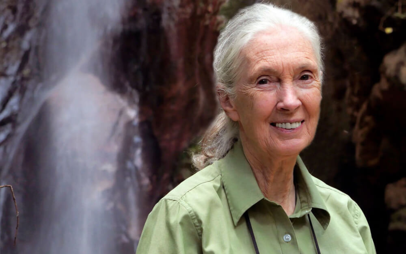 Померла видатна приматологиня і захисниця природи Джейн Ґудолл