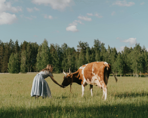 Подвійне навантаження, низькі доходи і синдром самозванки - дослідження про жінок у селах