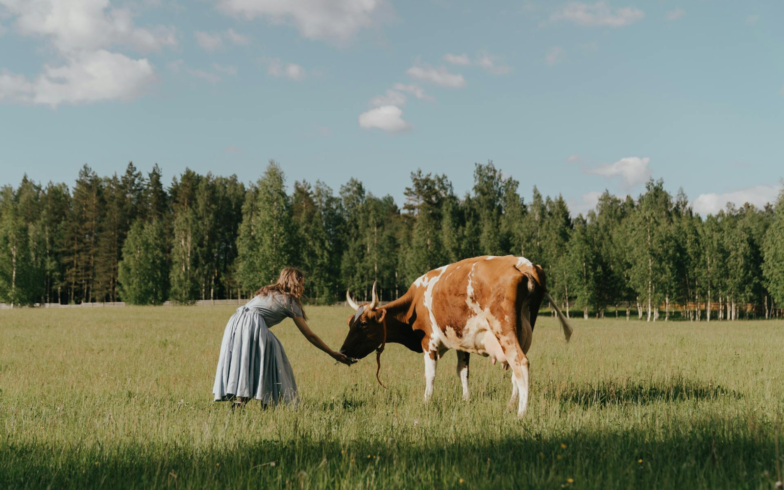 Подвійне навантаження, низькі доходи і синдром самозванки - дослідження про жінок у селах