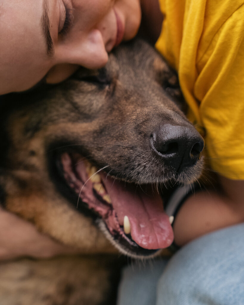 Справжня краса — це свідомий вибір. Як KRKR підтримує «Домівку врятованих тварин»