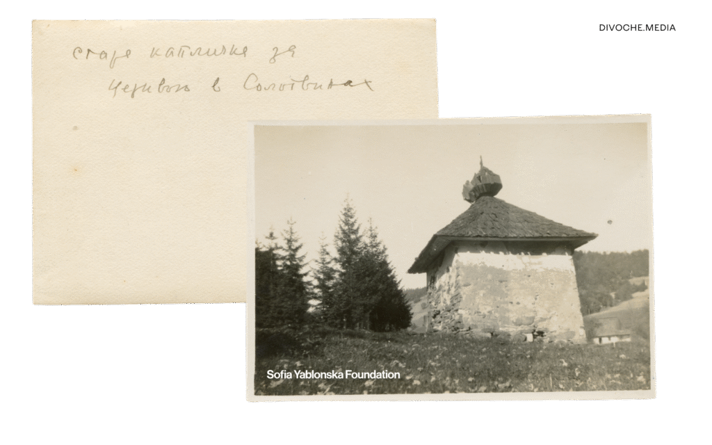 Моя Дарія Віконська