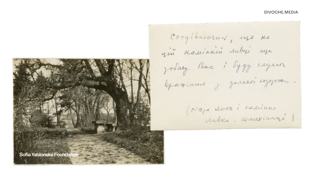 Моя Дарія Віконська