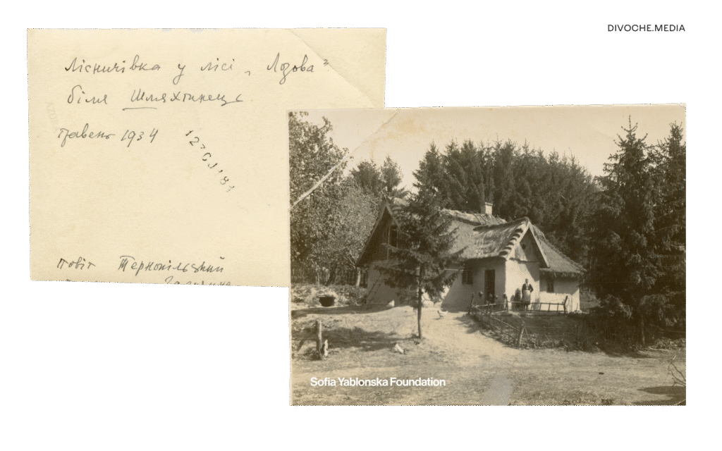 Моя Дарія Віконська