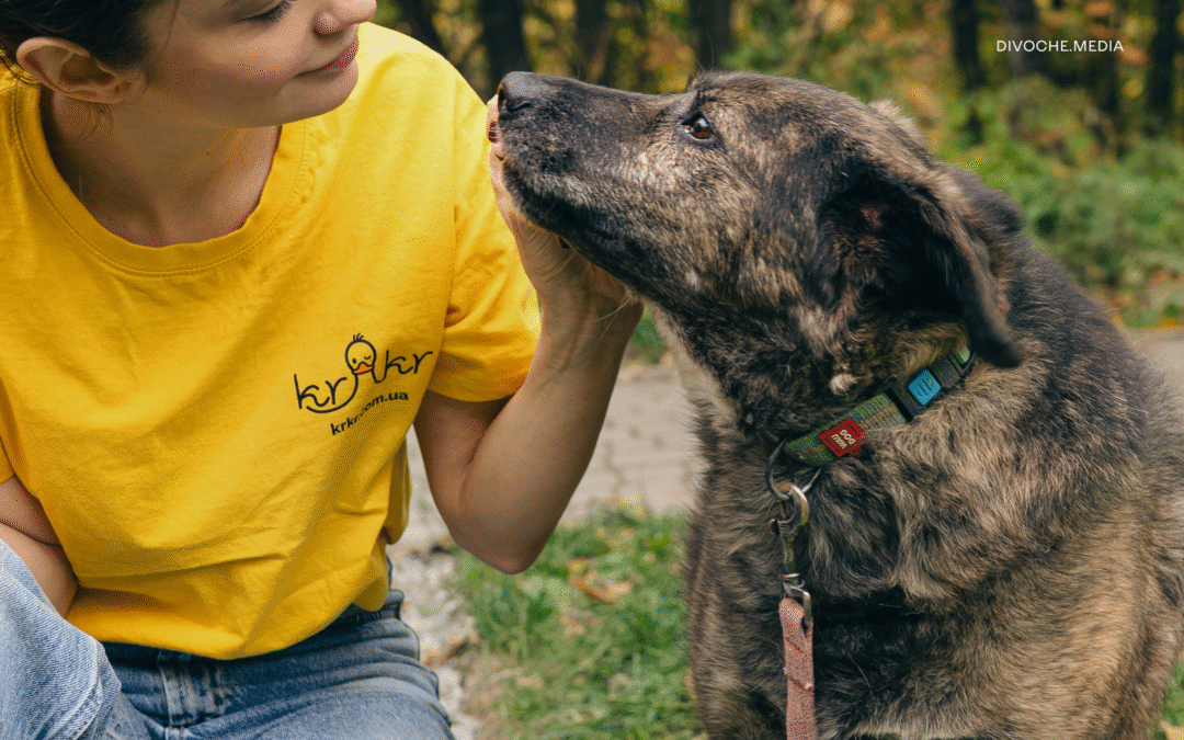 Справжня краса — це свідомий вибір. Як KRKR підтримує «Домівку врятованих тварин»