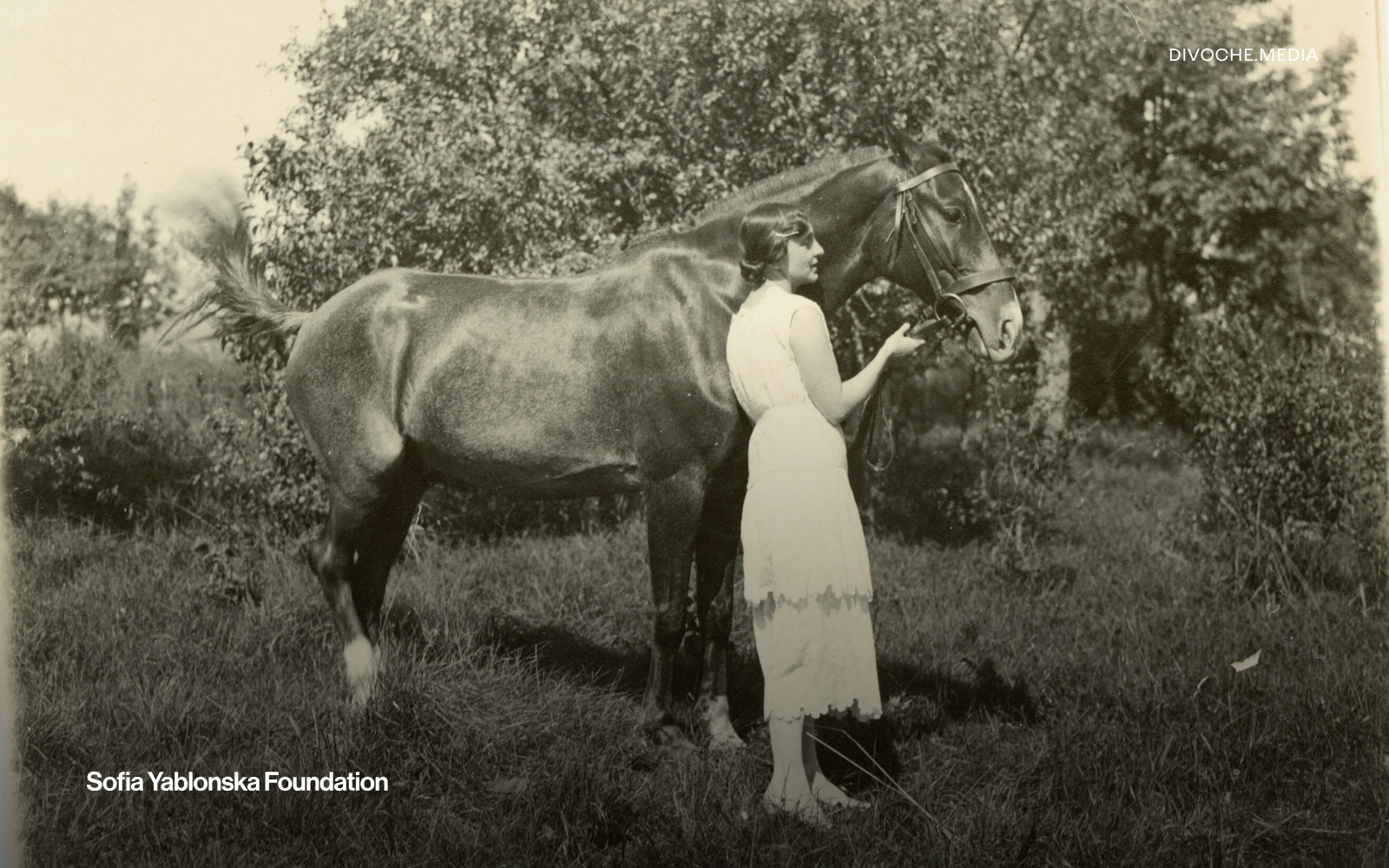Дарія Віконська