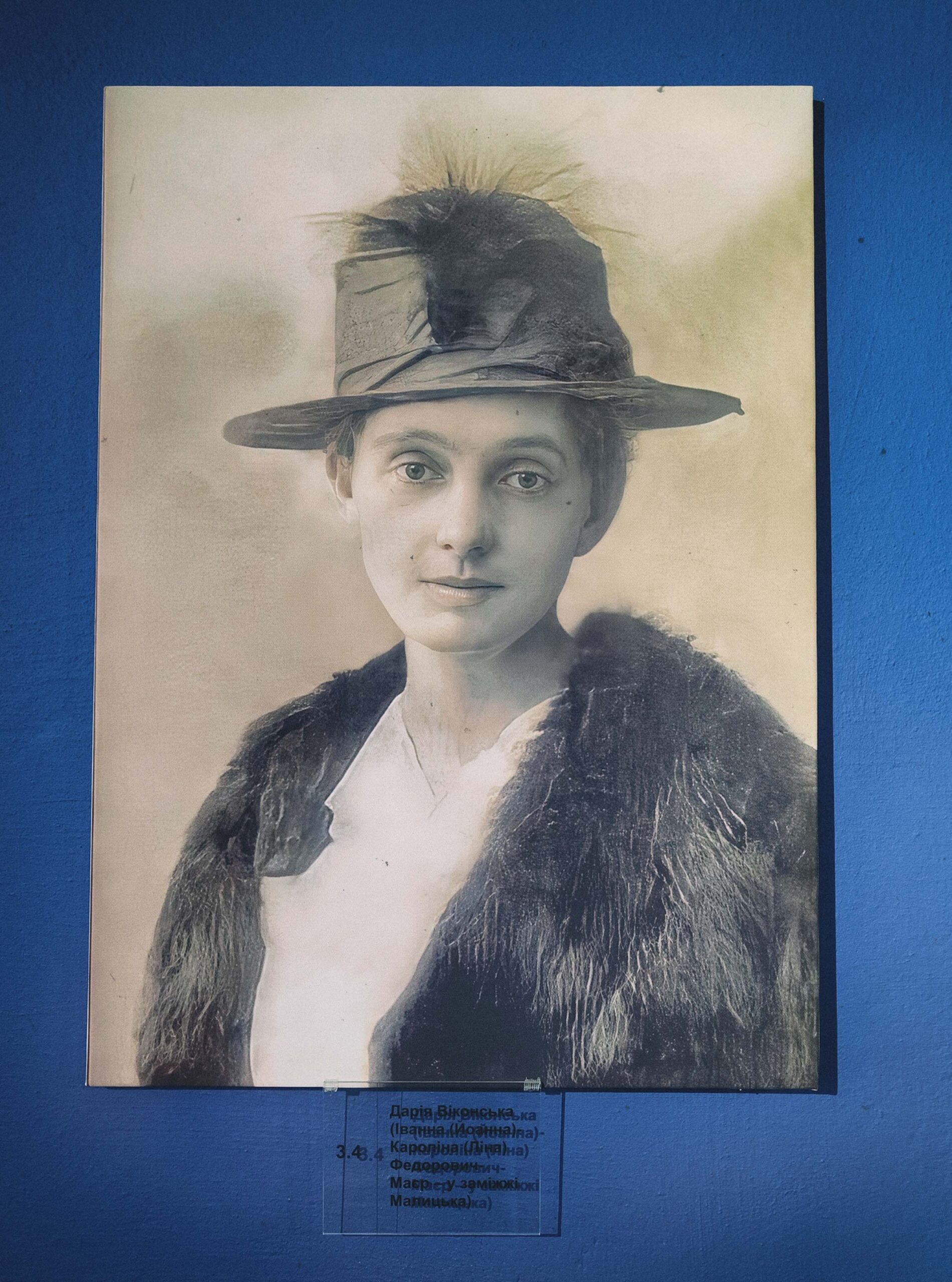 Дарія Віконська