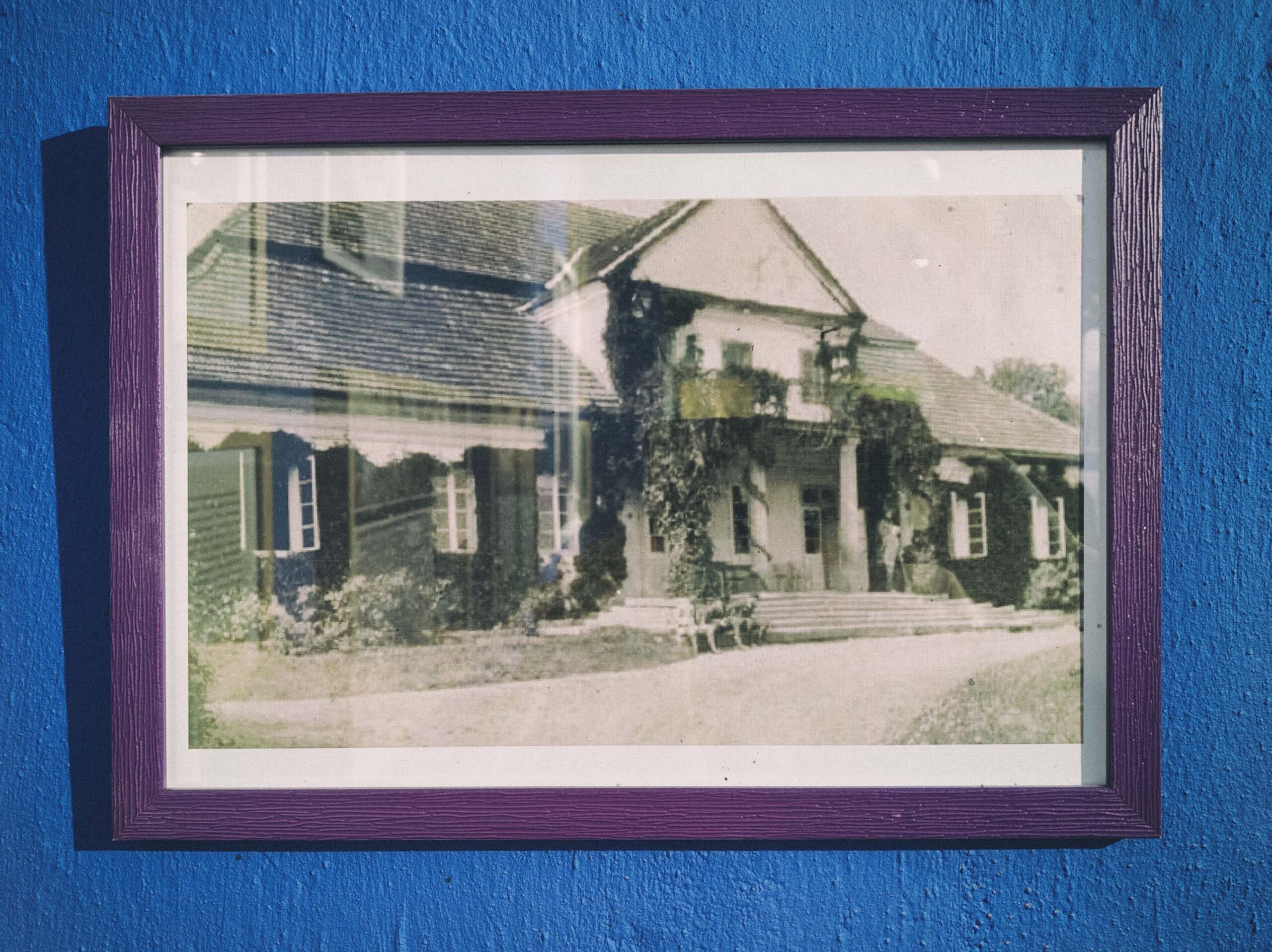 Моя Дарія Віконська