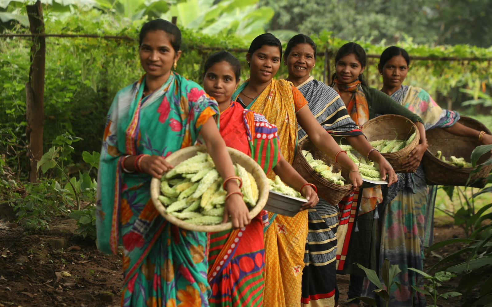 Індійський штат Карнатака надаватиме менструальну відпустку всім жінкам, які офіційно працюють