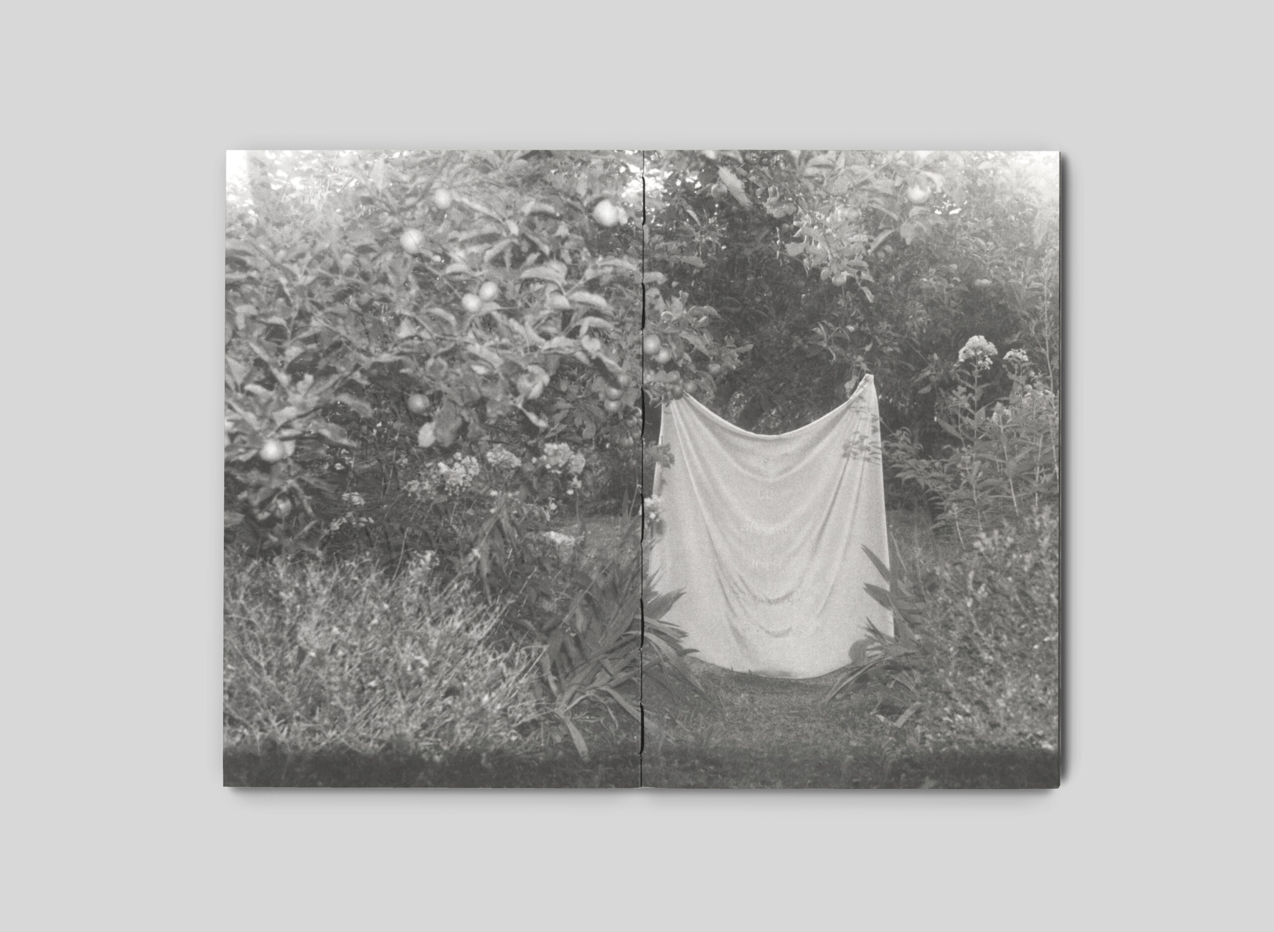 «Я їду додому їсти шовковицю з дерева». Видавництво ist publishing випустило артбук художниці Каті Лесів