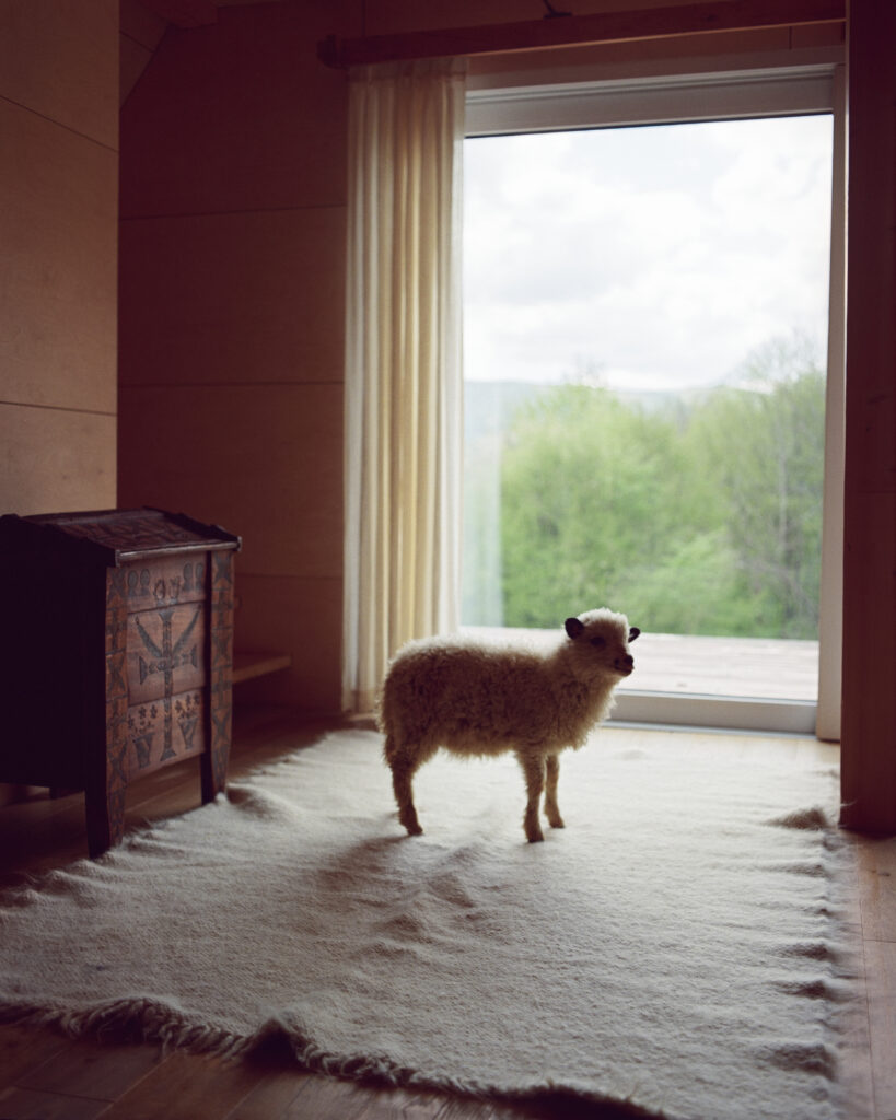 Ліжники та гуні: Як бренд вовняних виробів Gushka відроджує українську культуру та ремесла