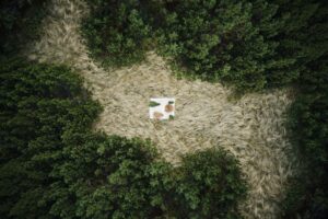 Ліжники та гуні: Як бренд вовняних виробів Gushka відроджує українську культуру та ремесла