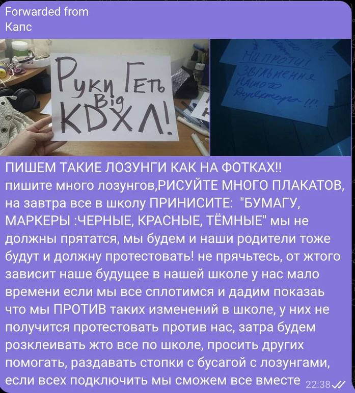 Українська художниця Алевтина Кахідзе очолила Київський художній ліцей імені Тараса Шевченка. Чому в соцмережах критикують призначення