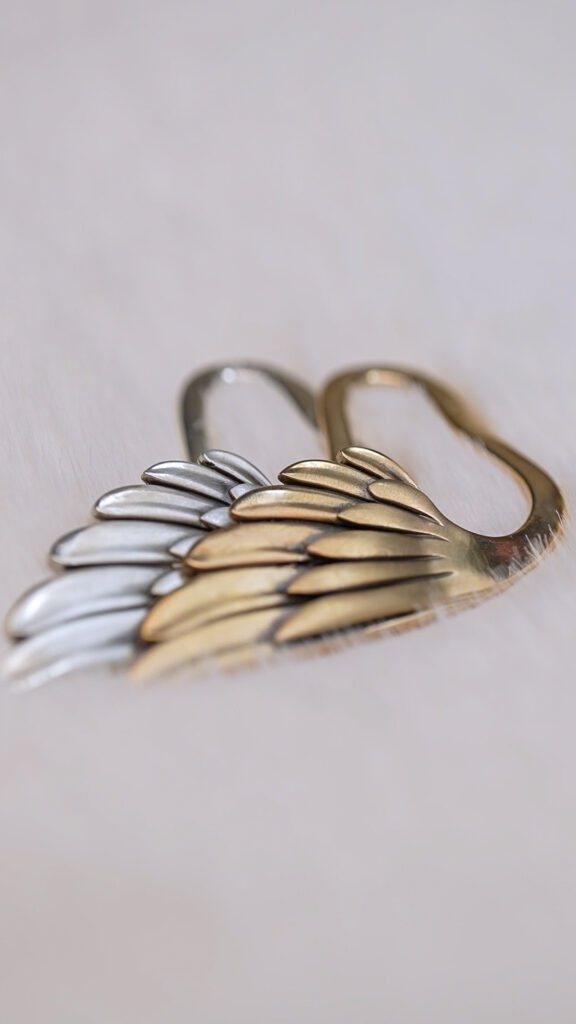 GASANOVA та Ліна Костенко випустили благодійну серію закладок-крил для книжок