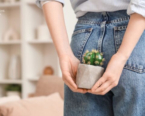 Тема - геморой у жінок після пологів